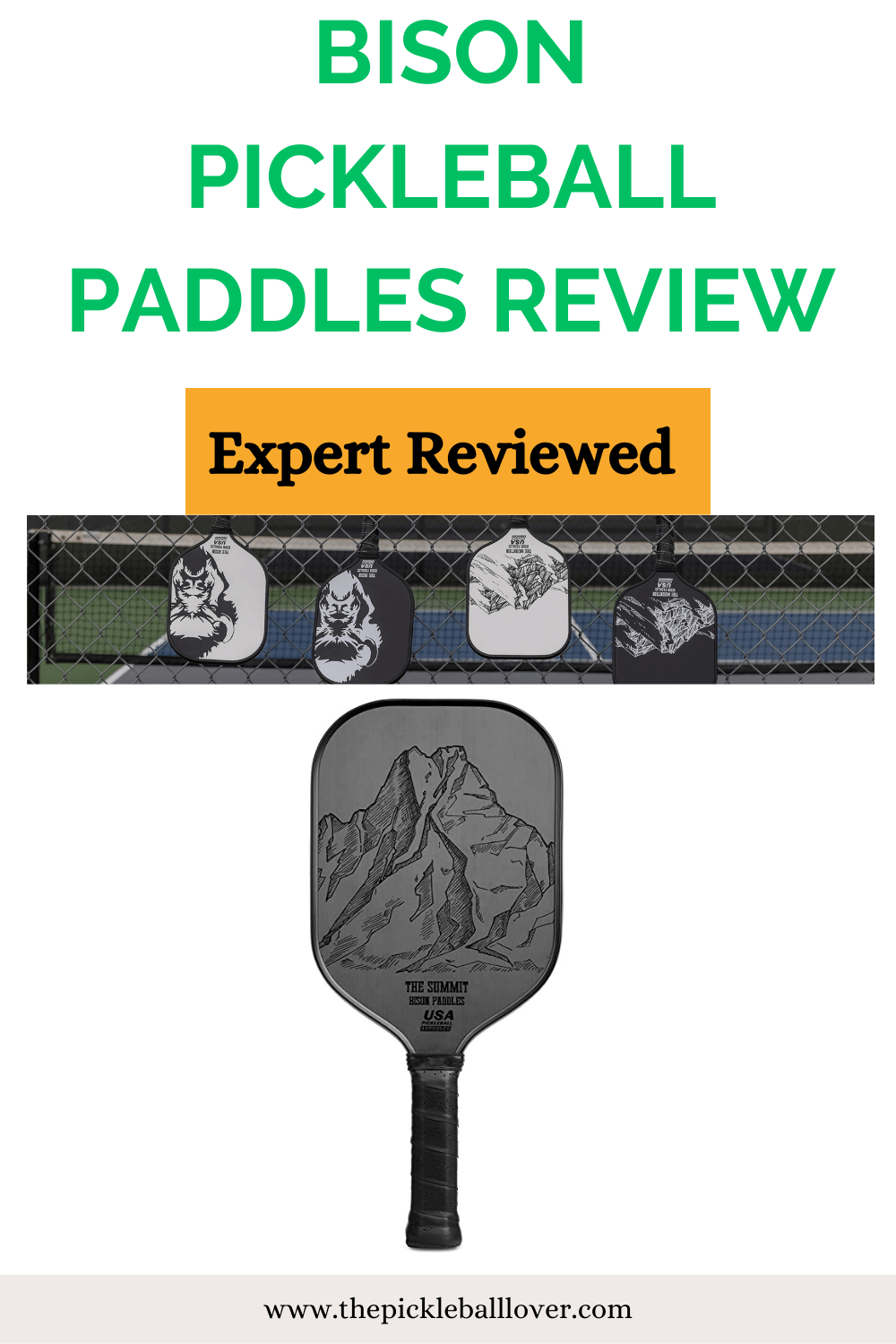 Bison Pickleball Paddles Review