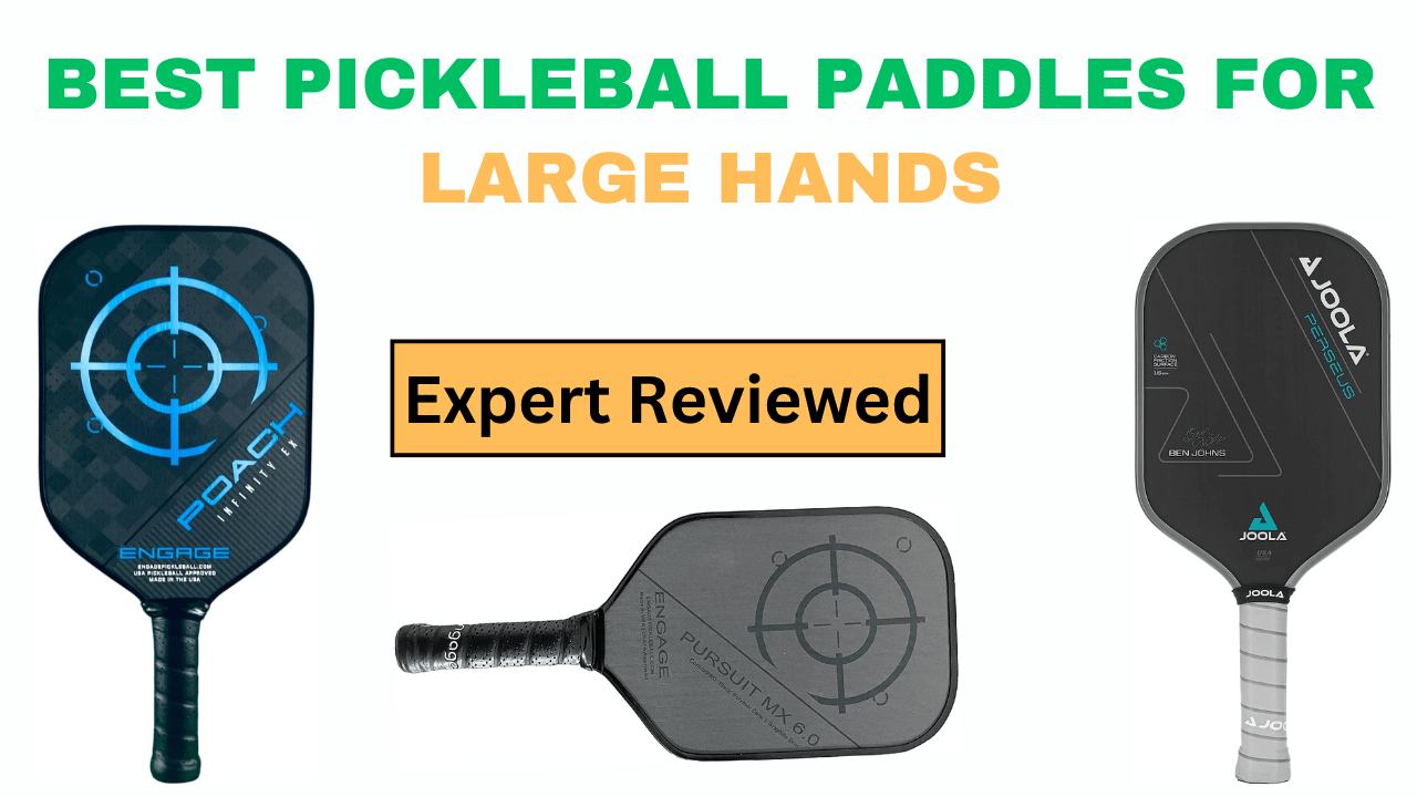 Best Pickleball Paddles for Dinking: A Definitive Guide